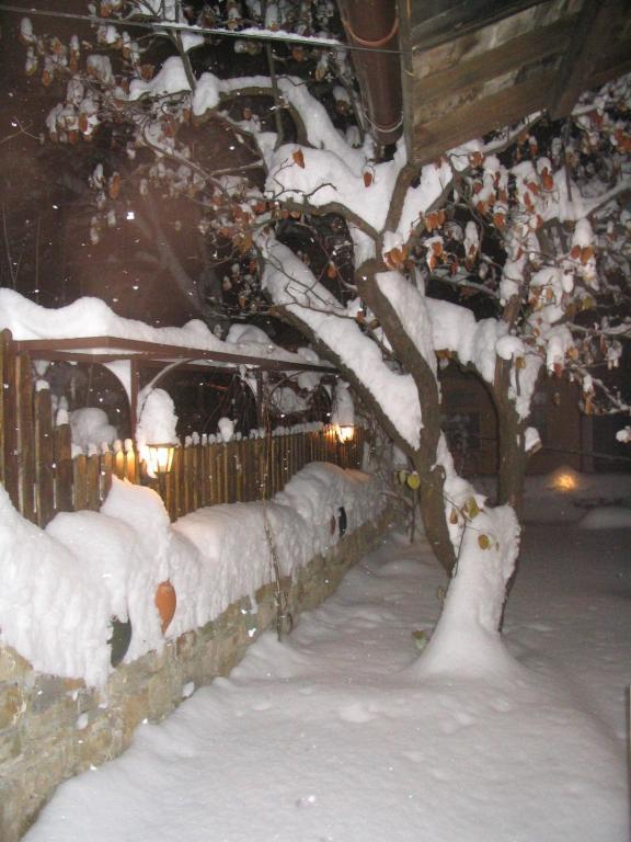 Hostel Mostel Veliko Tărnovo Exteriör bild